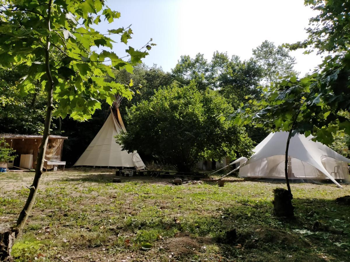 Albergue Del Oso Tierraluz Arbúcies Buitenkant foto